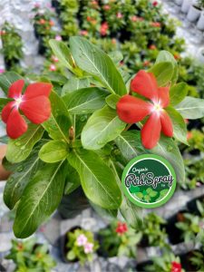 8f789e61f3e01493aa91aaa72b13633a (1)