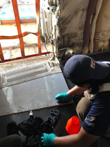 WhatsApp Image 2023-08-01 at 19.56.27