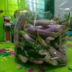 photo_2023-07-31_12-08-44